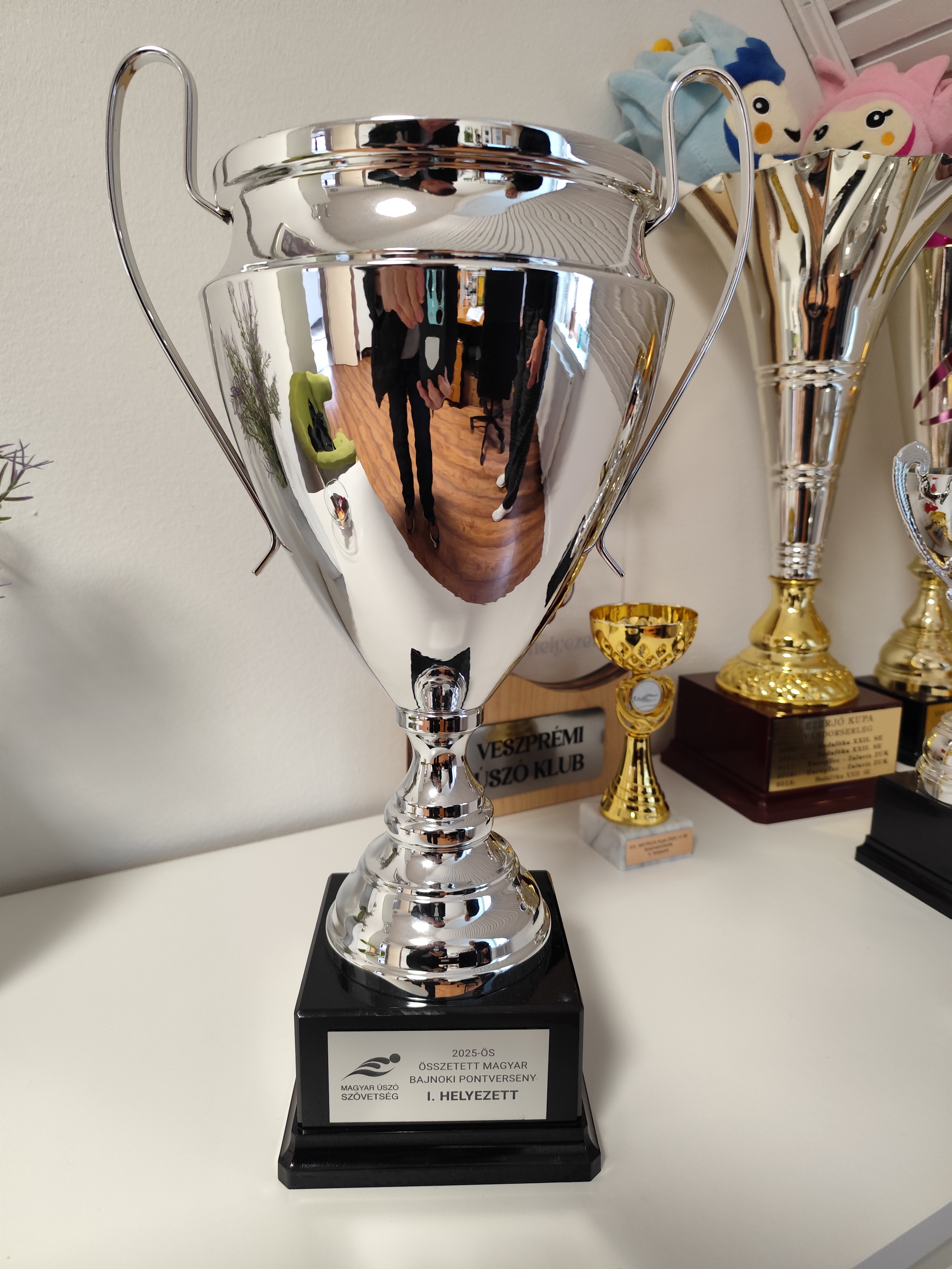 A győztesnek kij&aacute;r&oacute; serleg