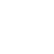 MVM