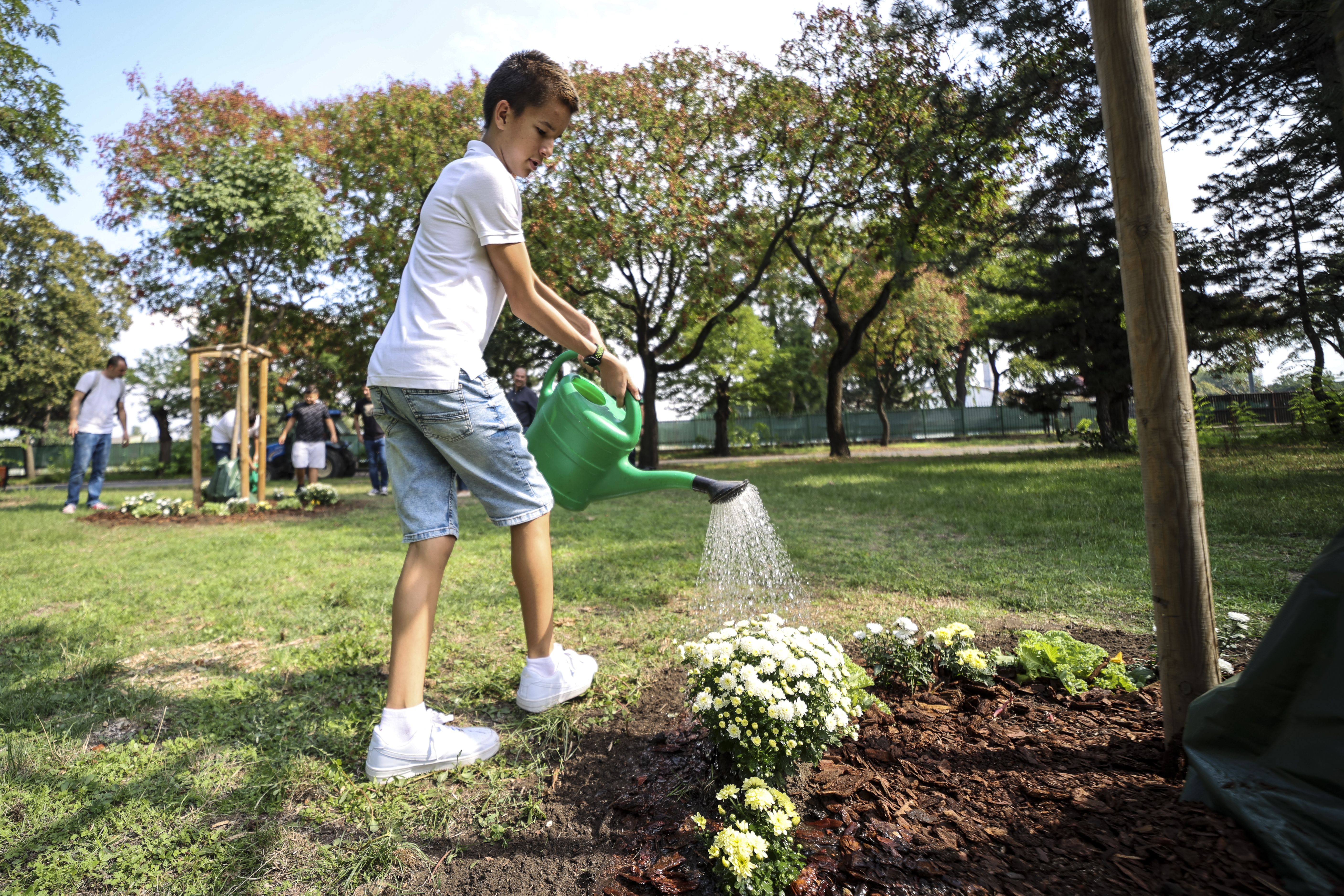 Patlók Olivér locsolja a virágokat