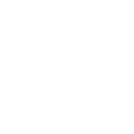 OTP Bank Liga